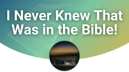 Title - I Never Knew That Was in the Bible!